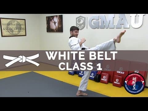 Taekwondo Follow Along Class - White Belt - Class #1 썸네일 이미지
